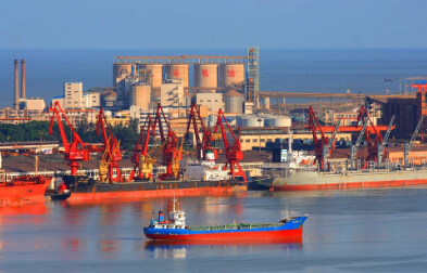 貨代需盡快辦理NVOCC資質(zhì)手續(xù)，否則后果自行承擔(dān)