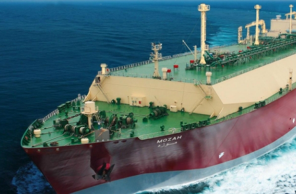 中國的海運(yùn)業(yè)發(fā)展迅速，國內(nèi)海運(yùn)公司也紛紛嶄露頭角