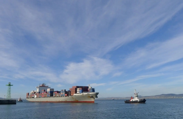 國內(nèi)海運(yùn)公司在全球化時(shí)代具有重要的地位和作用，面臨著挑戰(zhàn)和機(jī)遇