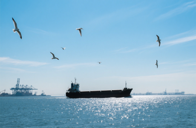 上海貨運代理公司：服裝進(jìn)口的 “通關(guān)密鑰” 與 “物流導(dǎo)師”