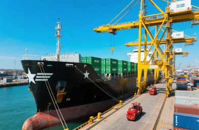 國(guó)際海運(yùn)物流公司：高效運(yùn)輸，縮短木材出口時(shí)空距離